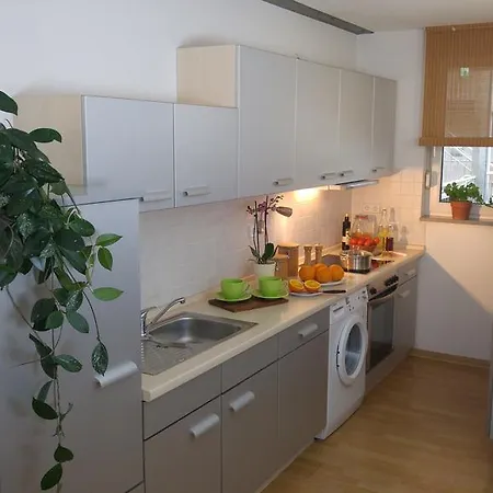 Apartment Apartmenthaus Elster Lofts *